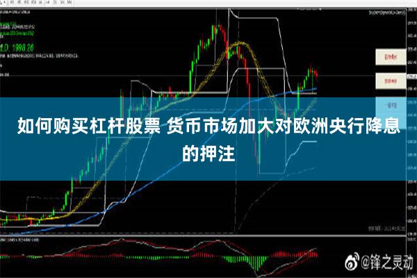 如何购买杠杆股票 货币市场加大对欧洲央行降息的押注