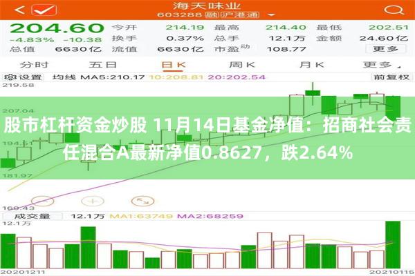 股市杠杆资金炒股 11月14日基金净值：招商社会责任混合A最新净值0.8627，跌2.64%