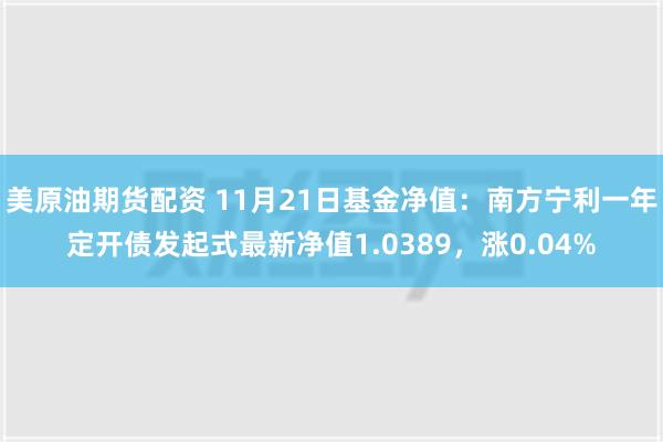 美原油期货配资 11月21日基金净值：南方宁利一年定开债发起式最新净值1.0389，涨0.04%