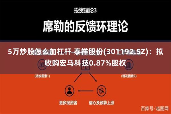 5万炒股怎么加杠杆 泰祥股份(301192.SZ)：拟收购宏马科技0.87%股权