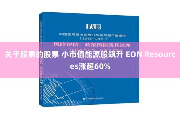 关于股票的股票 小市值能源股飙升 EON Resources涨超60%