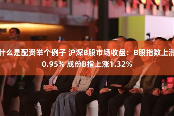 什么是配资举个例子 沪深B股市场收盘：B股指数上涨0.95% 成份B指上涨1.32%