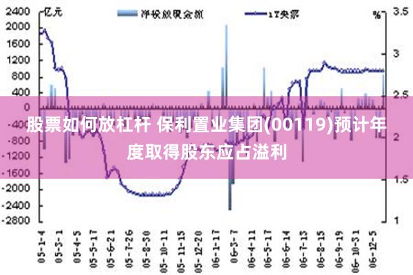 股票如何放杠杆 保利置业集团(00119)预计年度取得股东应占溢利